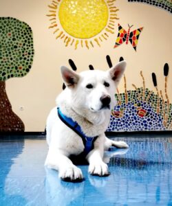 WhatsApp Image 2025-03-27 at 05.55.08 WhatsApp Image 2025-03-27 at 05.55.08